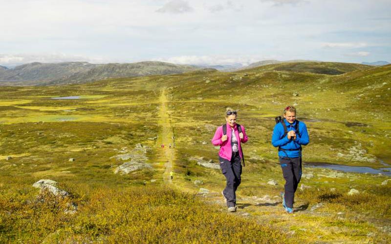 opplevingar_kongevegen_800x500