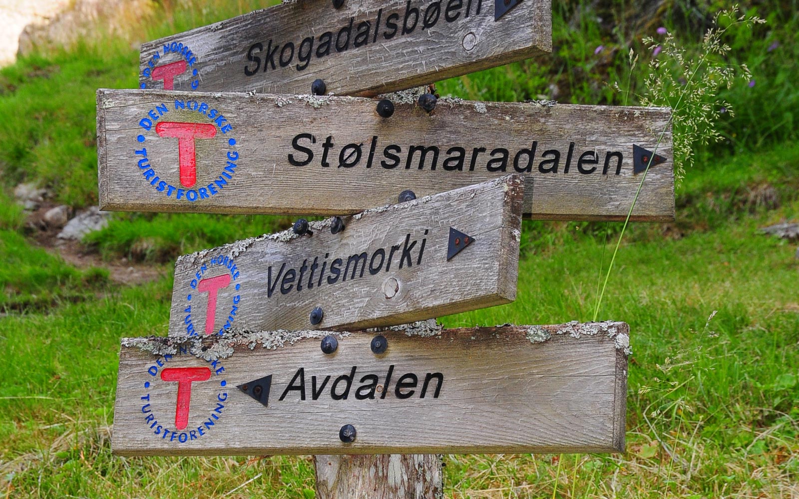 AvdalenGard_1600x1000_08